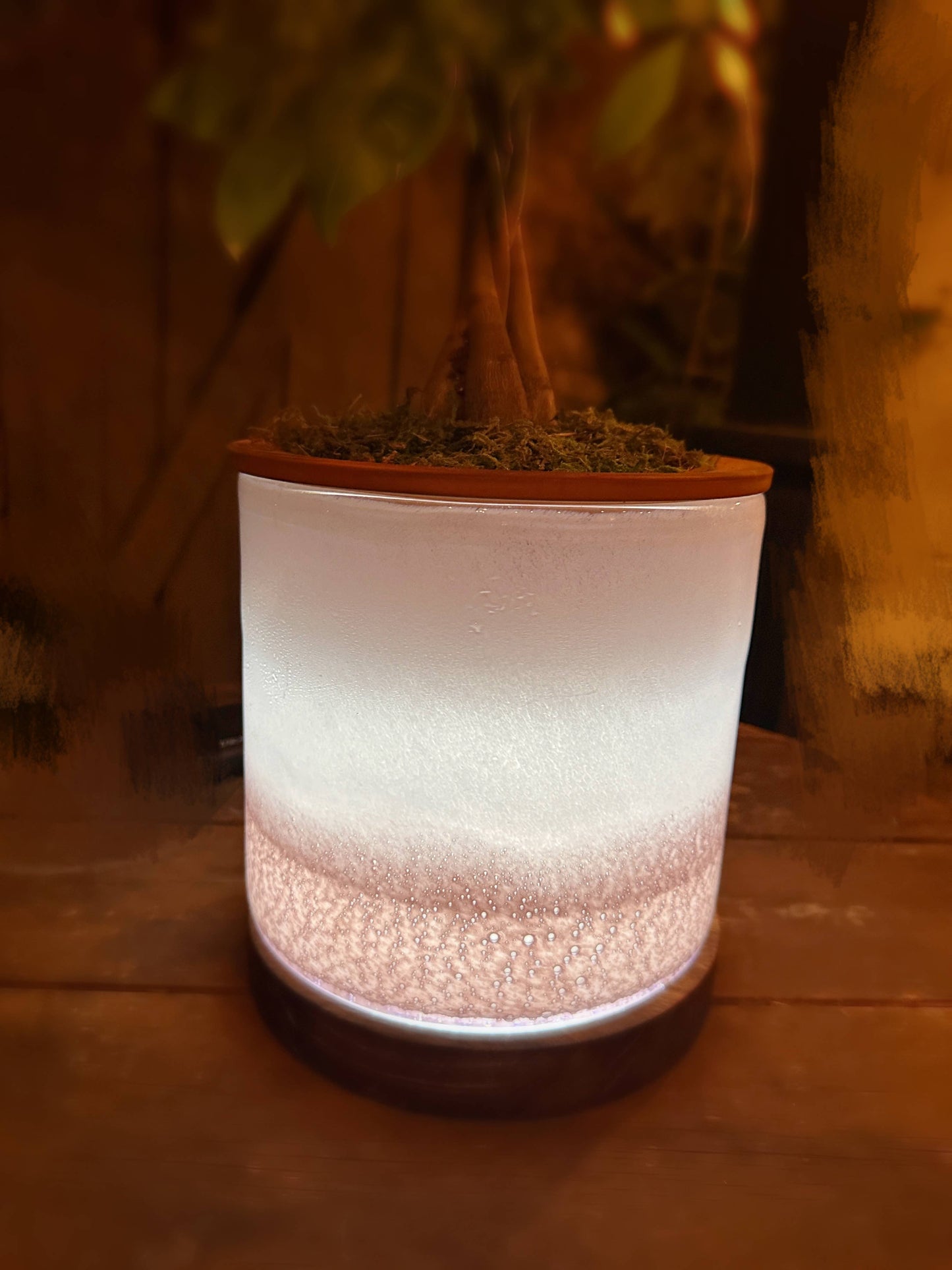 8" Art Glass LED Self Watering Plan ter (USB Plug-in): Assorted Color