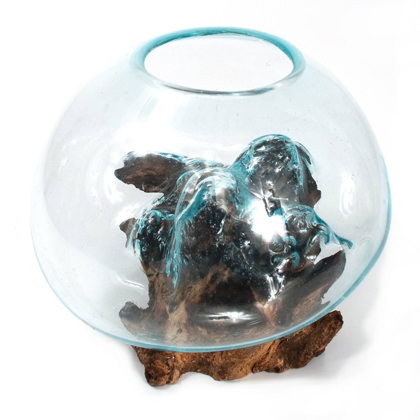 Medium Root with Blown Glass Vase