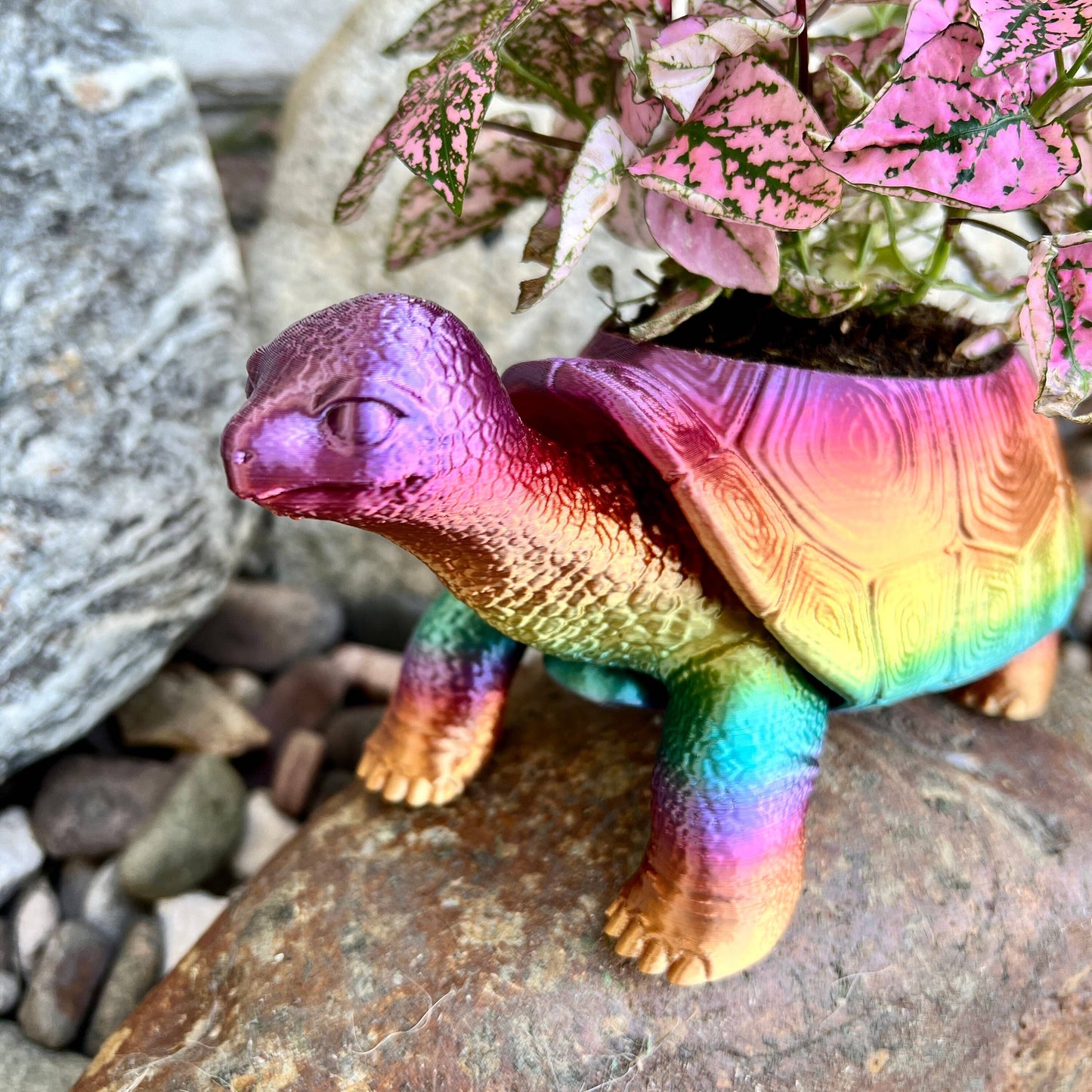Turtle Planter 3D Printed Tortoise Realistic Garden Decor: Silk Shiny Rainbow / 3