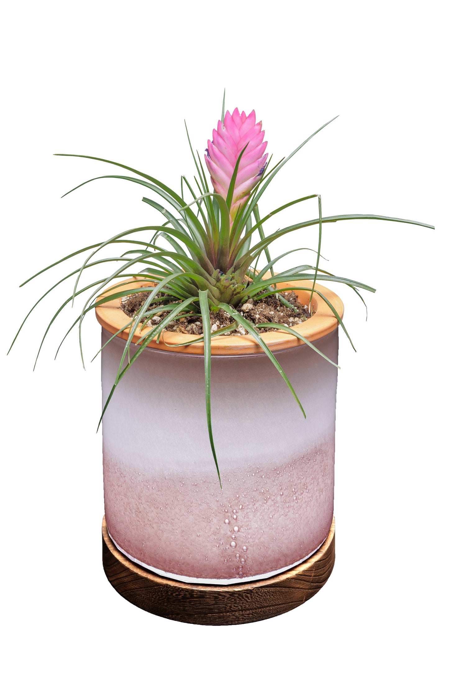 8" Art Glass LED Self Watering Plan ter (USB Plug-in): Assorted Color