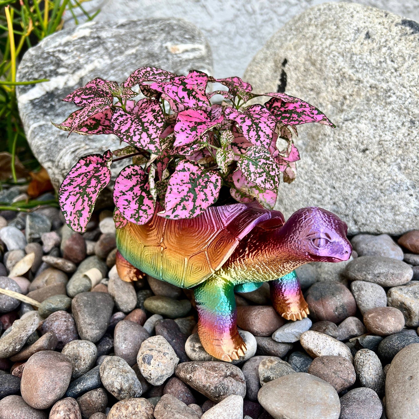 Turtle Planter 3D Printed Tortoise Realistic Garden Decor: Silk Shiny Rainbow / 3