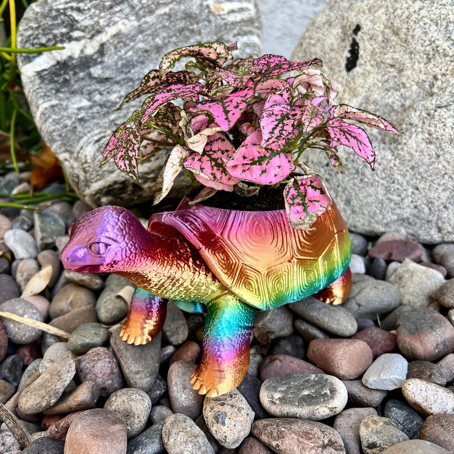 Turtle Planter 3D Printed Tortoise Realistic Garden Decor: Silk Shiny Rainbow / 3
