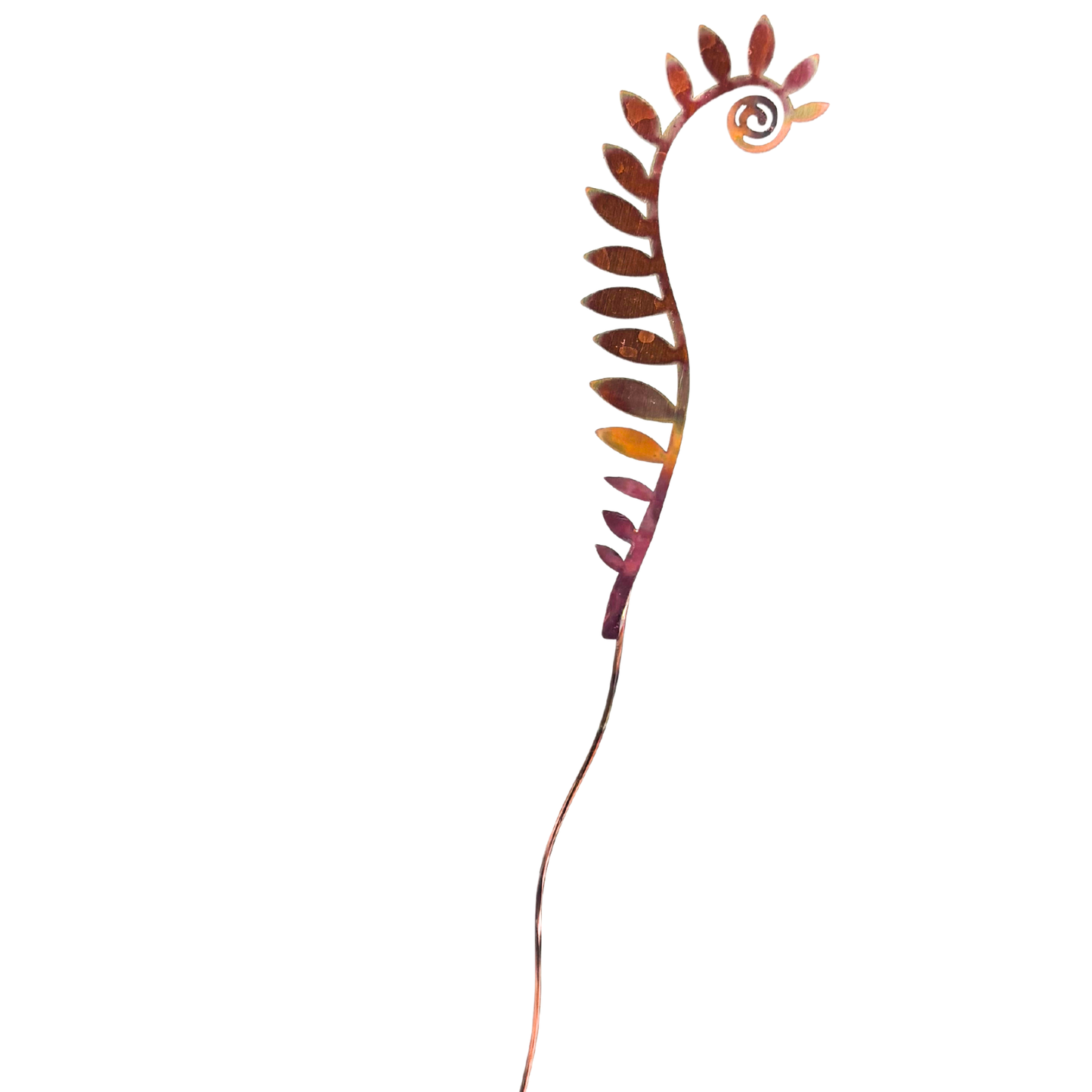 Copper Fiddlehead Fern- natural