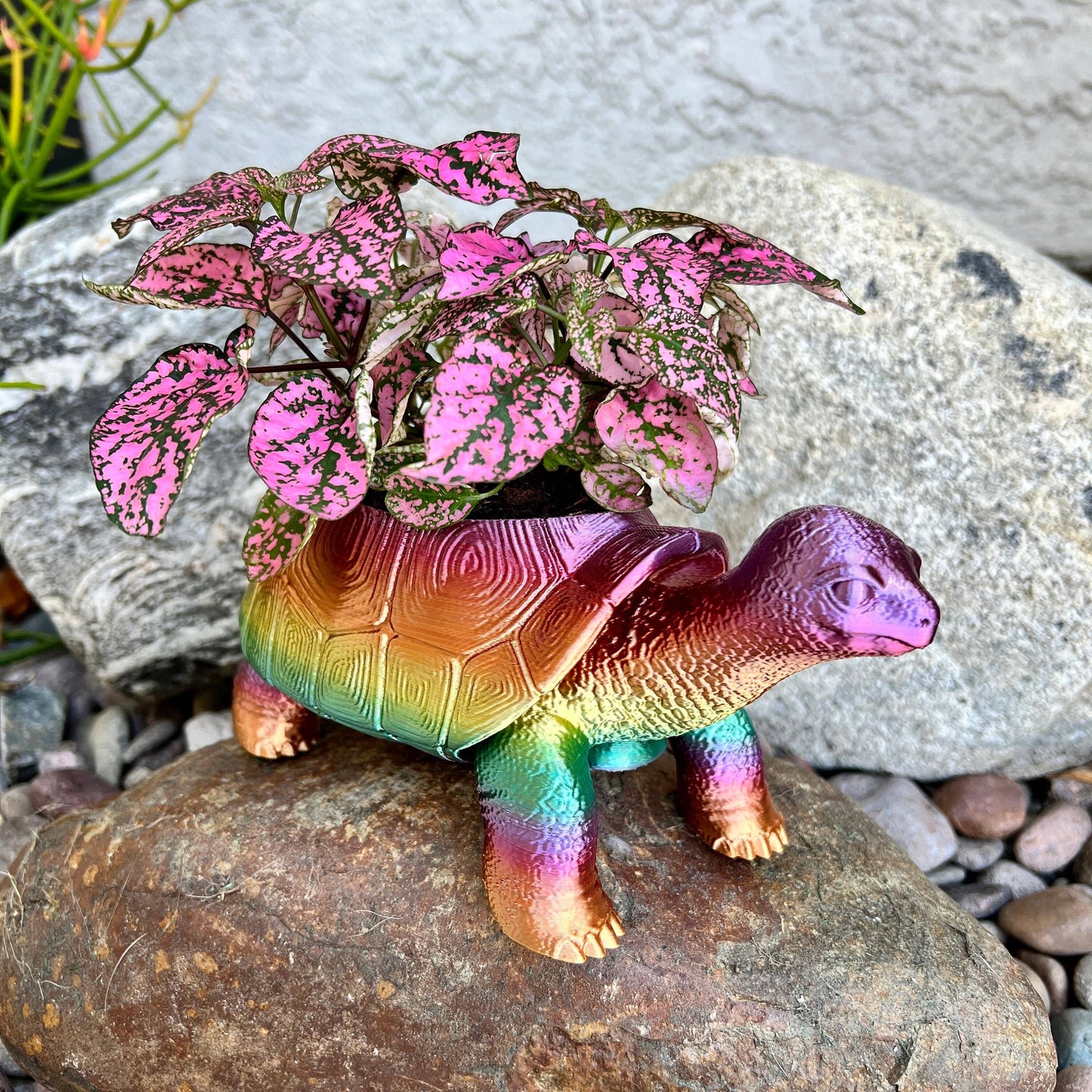 Turtle Planter 3D Printed Tortoise Realistic Garden Decor: Silk Shiny Rainbow / 3