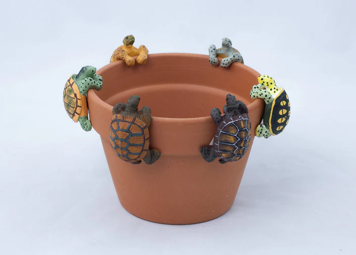 Turtle Plant Pot Hanger