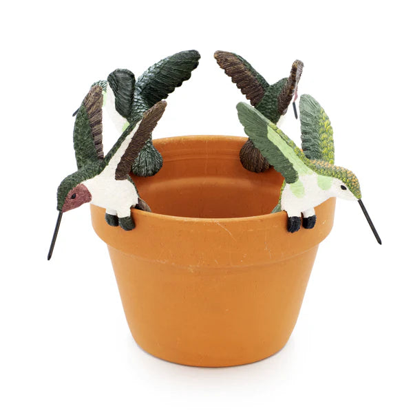 hummingbird plant pot Hummingbird Plant Pot Hanger – Golden State Succulents.com