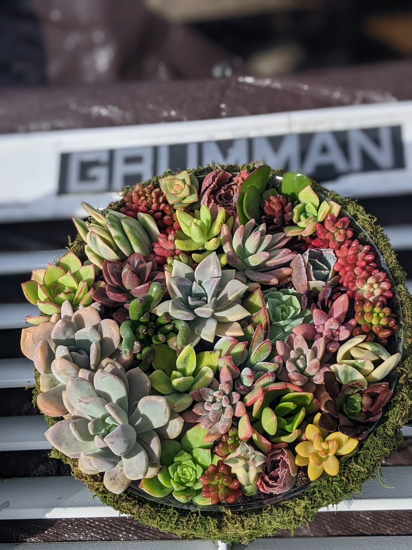 Succulent Baskets & Flower Delivery Order Form Page