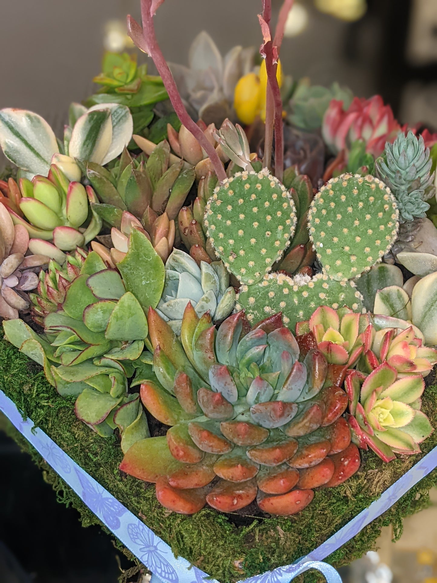 Succulent Baskets & Flower Delivery Order Form Page