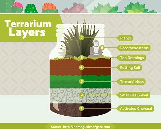 Terrarium Bar Reseravtions
