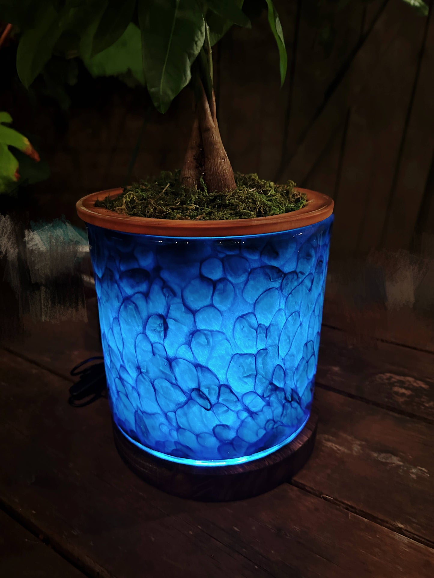 8" Art Glass LED Self Watering Plan ter (USB Plug-in): Assorted Color