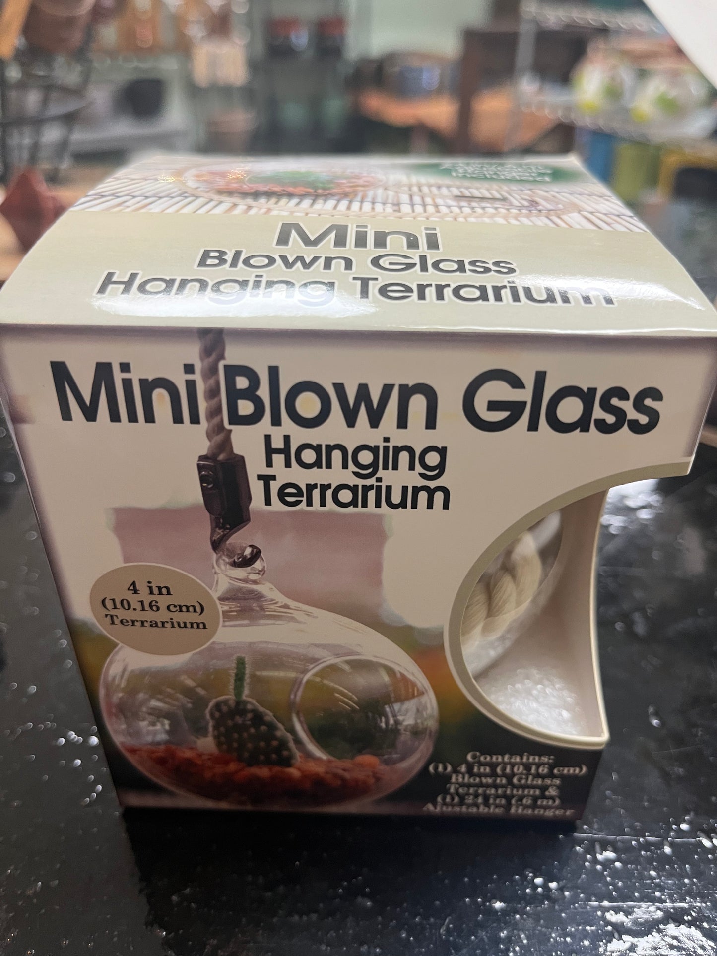 Mini Hanging Terrarium