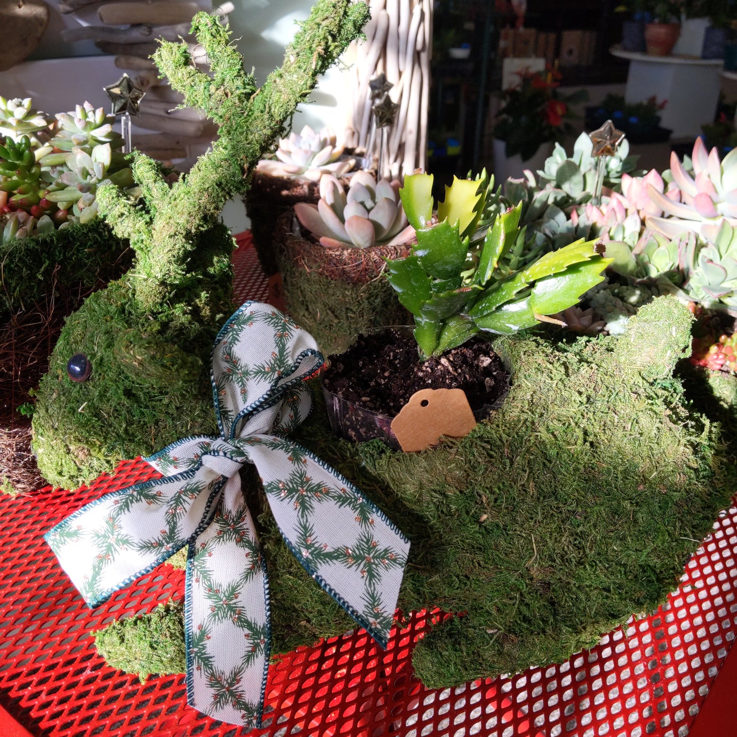 Deco Reindeer Moss Planter
