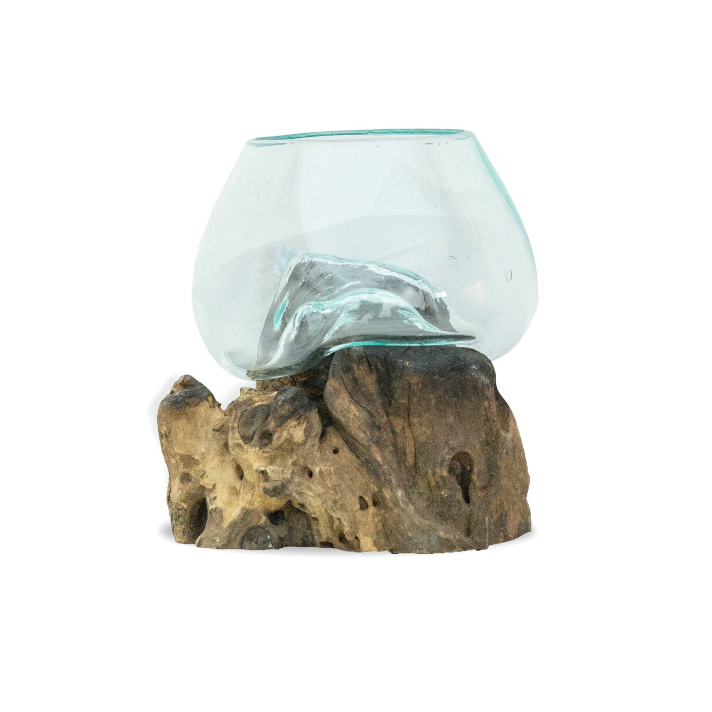 Root with Blown Glass Vase X-Small