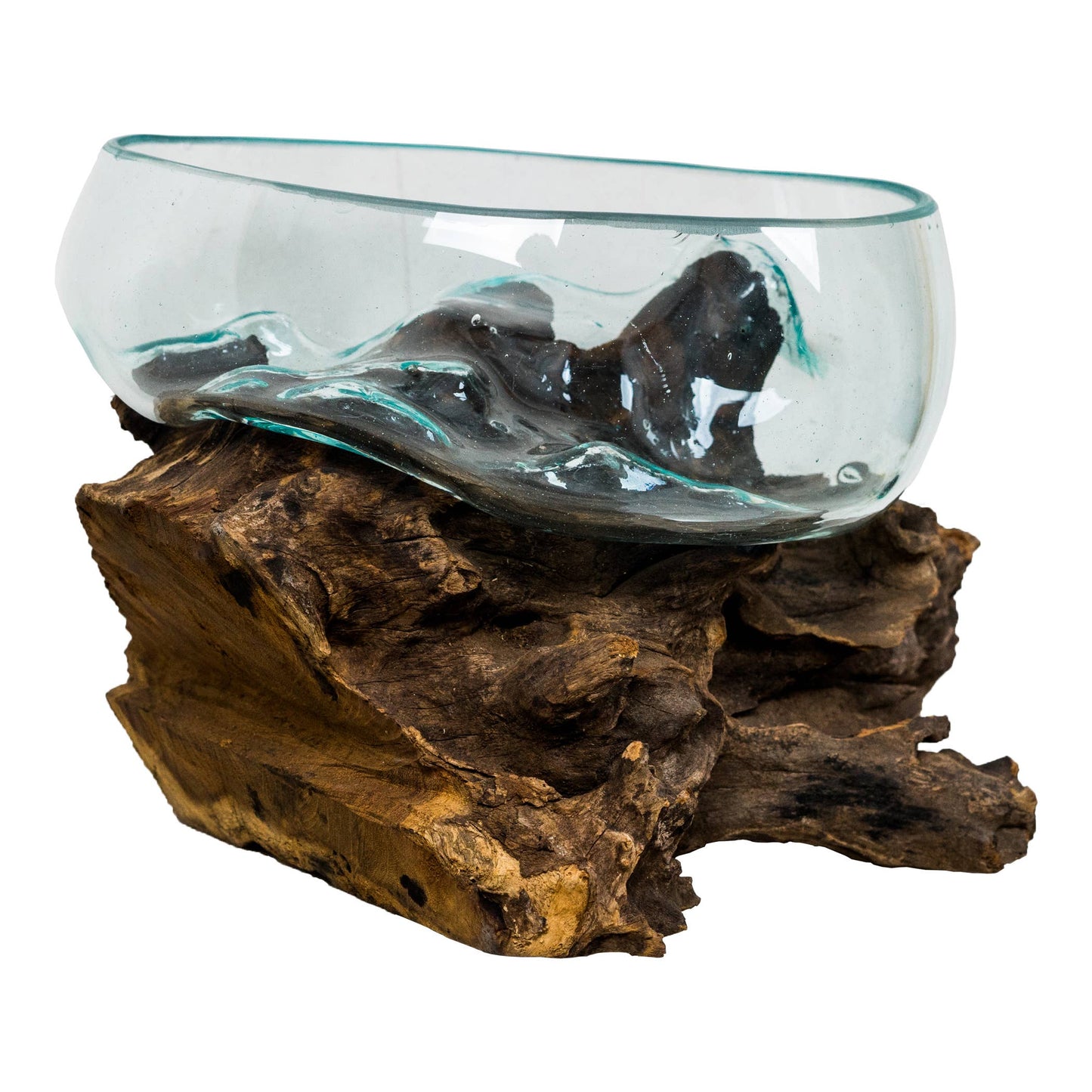 Salad Bowl on Root Medium