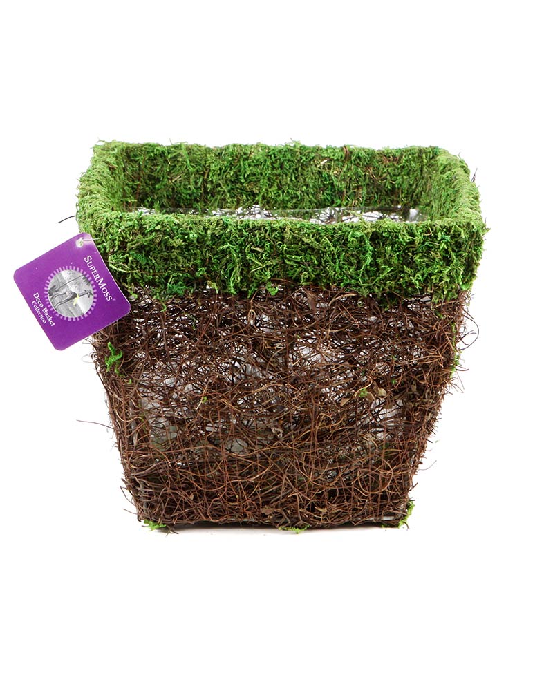 ventura succulents Ventura Deco Basket – Golden State Succulents.com
