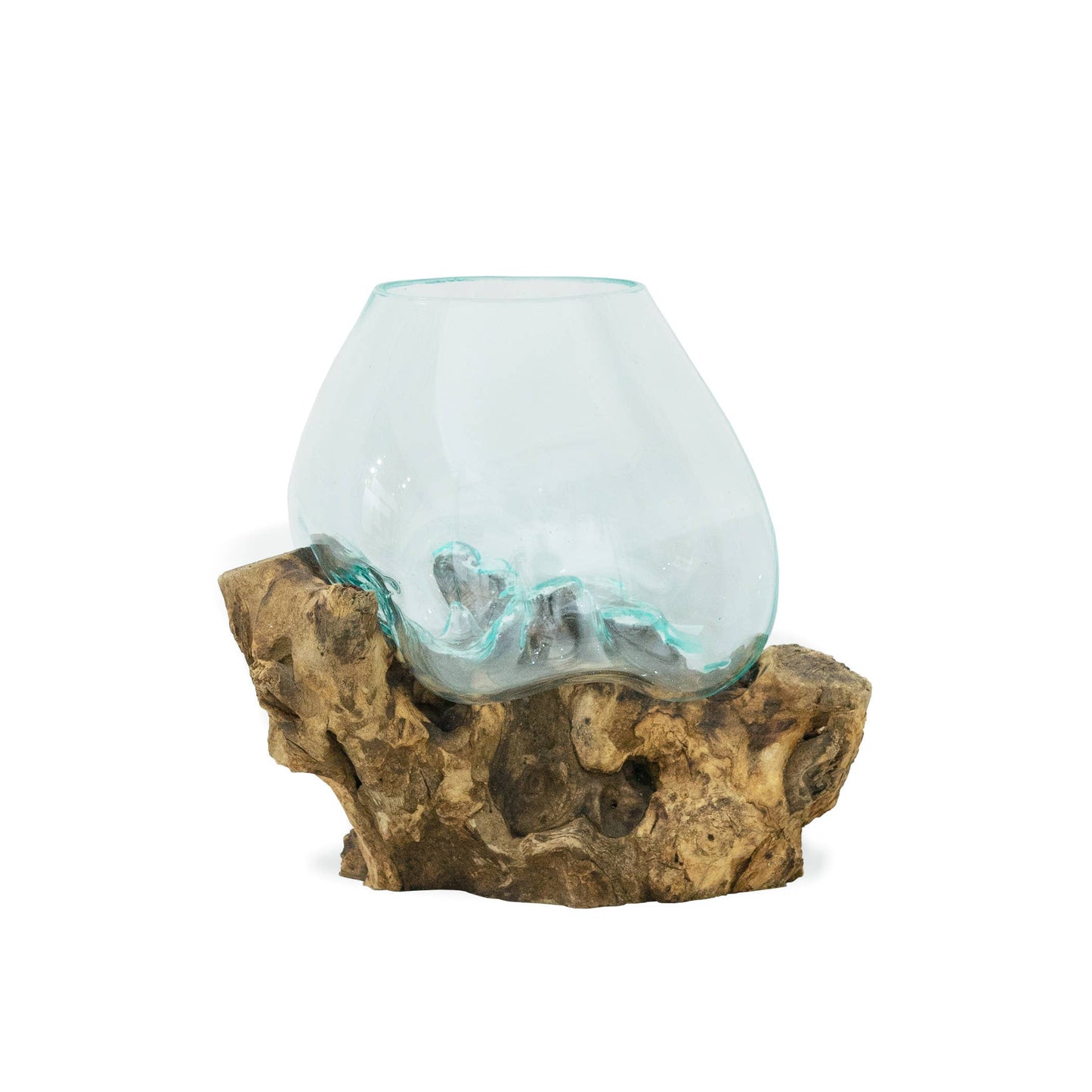 Medium Root with Blown Glass Vase