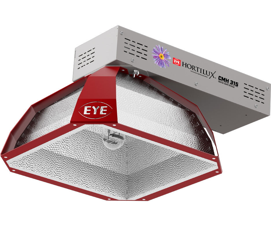 Traditional Lighting Systems