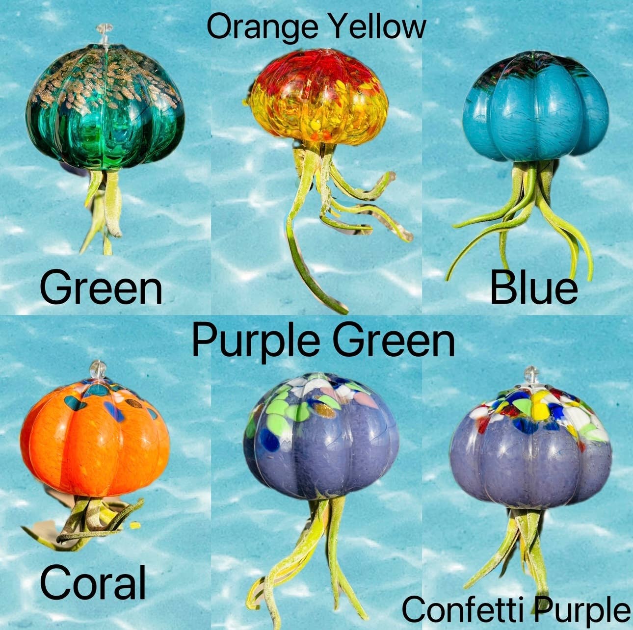 jellyfish air plant holder Cauliflower Jellyfish Air Plant Holder (plant not included) – Golden State Succulents.com
