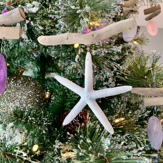 Driftwood Multi Colored Starfish Ornaments