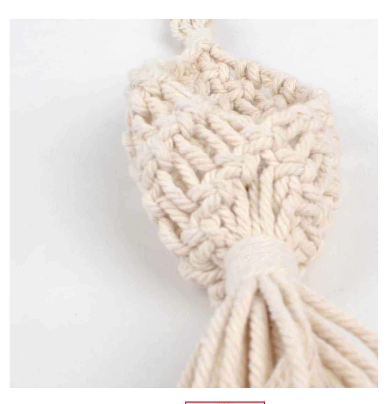 Mini Macrame Air Plant holder w/ plant🌿