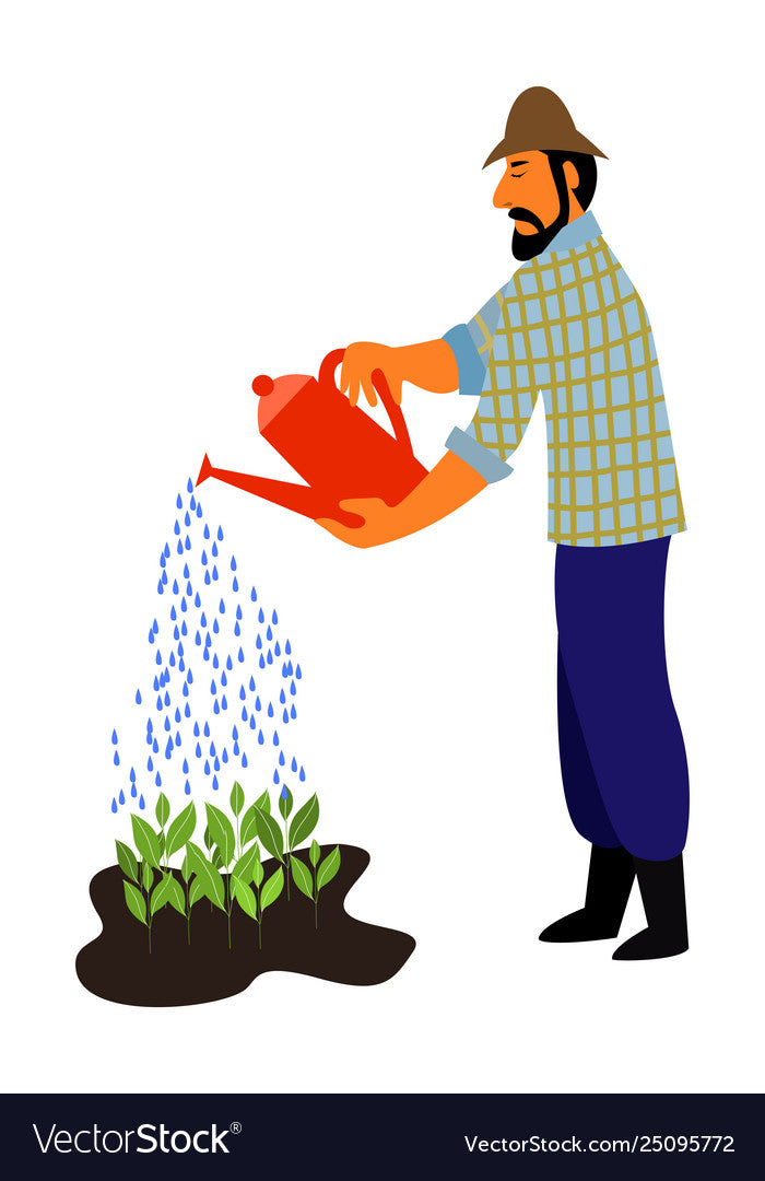 Plant Sitting Flat Rates