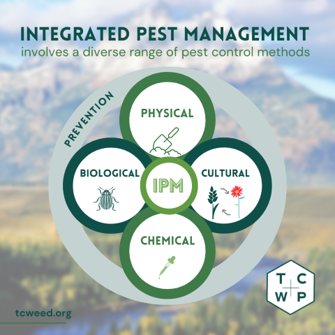 Easy IPM Practices