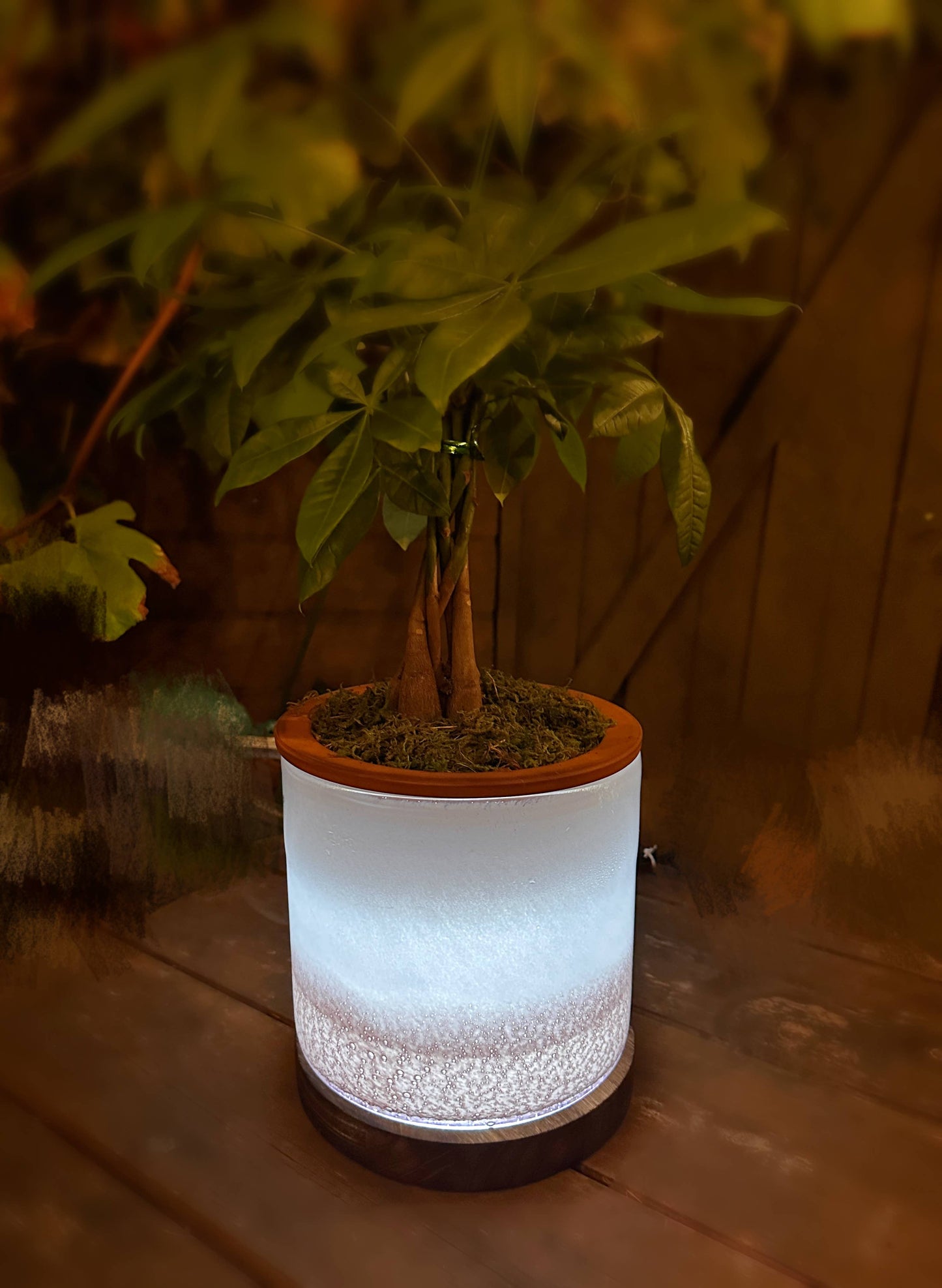8" Art Glass LED Self Watering Planter (USB Plug-in): Assorted Color