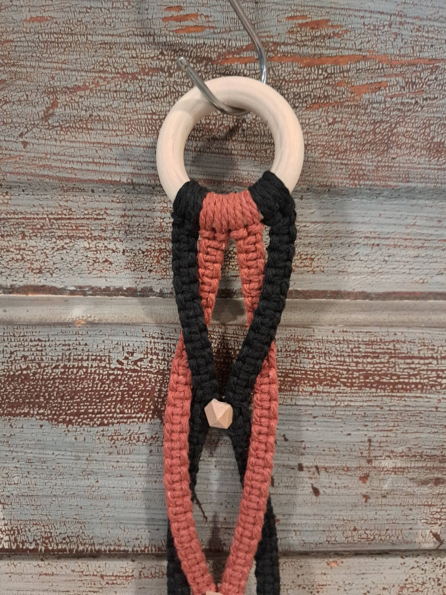 Scalloped Triple Air Plant Holder- Black & accent color: Sage