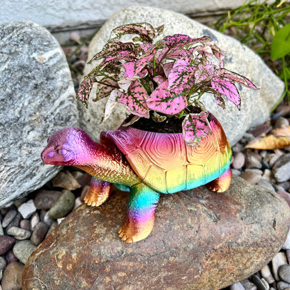 Turtle Planter 3D Printed Tortoise Realistic Garden Decor: Silk Shiny Rainbow / 3