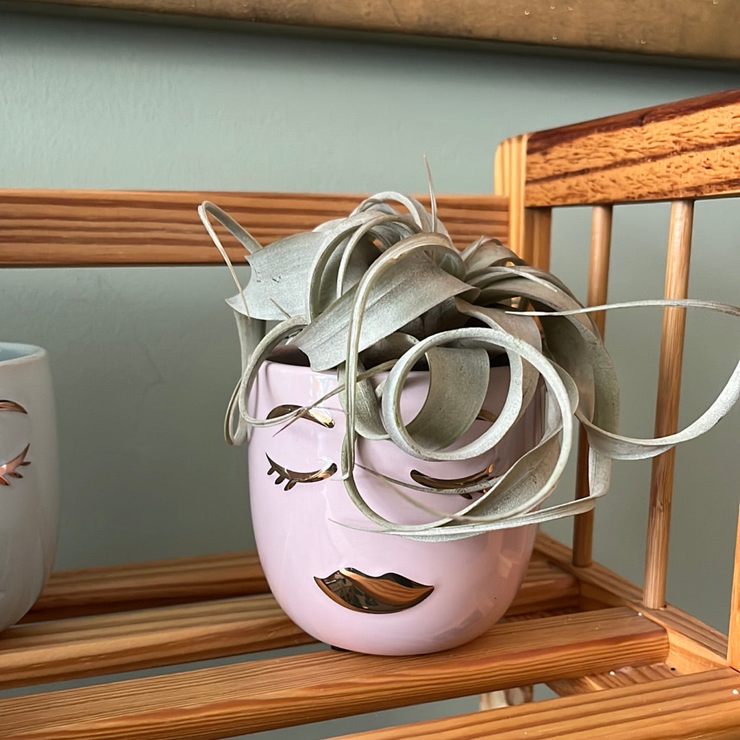 Face planters