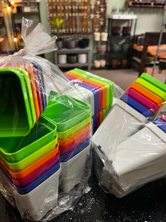 Sunpack 36pack - 2.5inch color pots