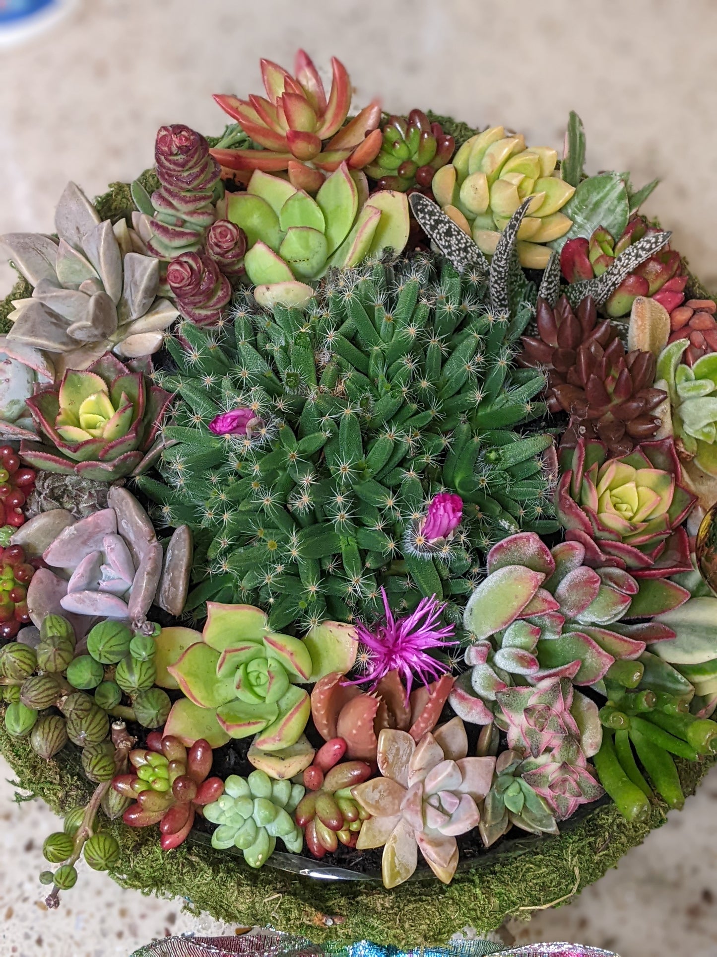 Succulent Baskets & Flower Delivery Order Form Page