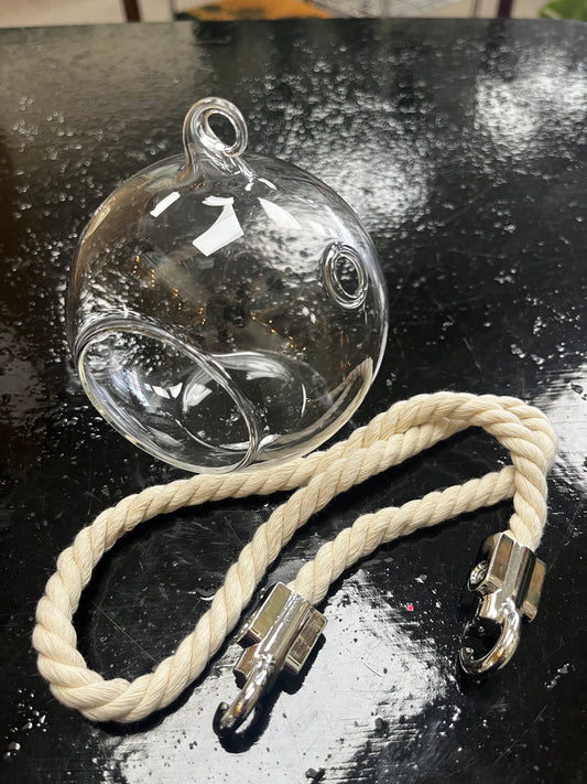 Mini Hanging Terrarium