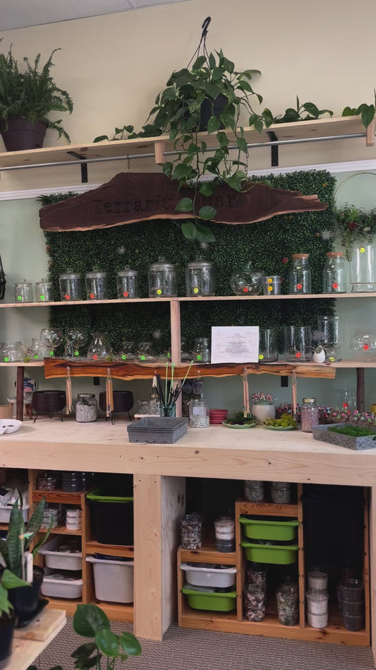 Fall Terrarium Plant & Chill Reservations