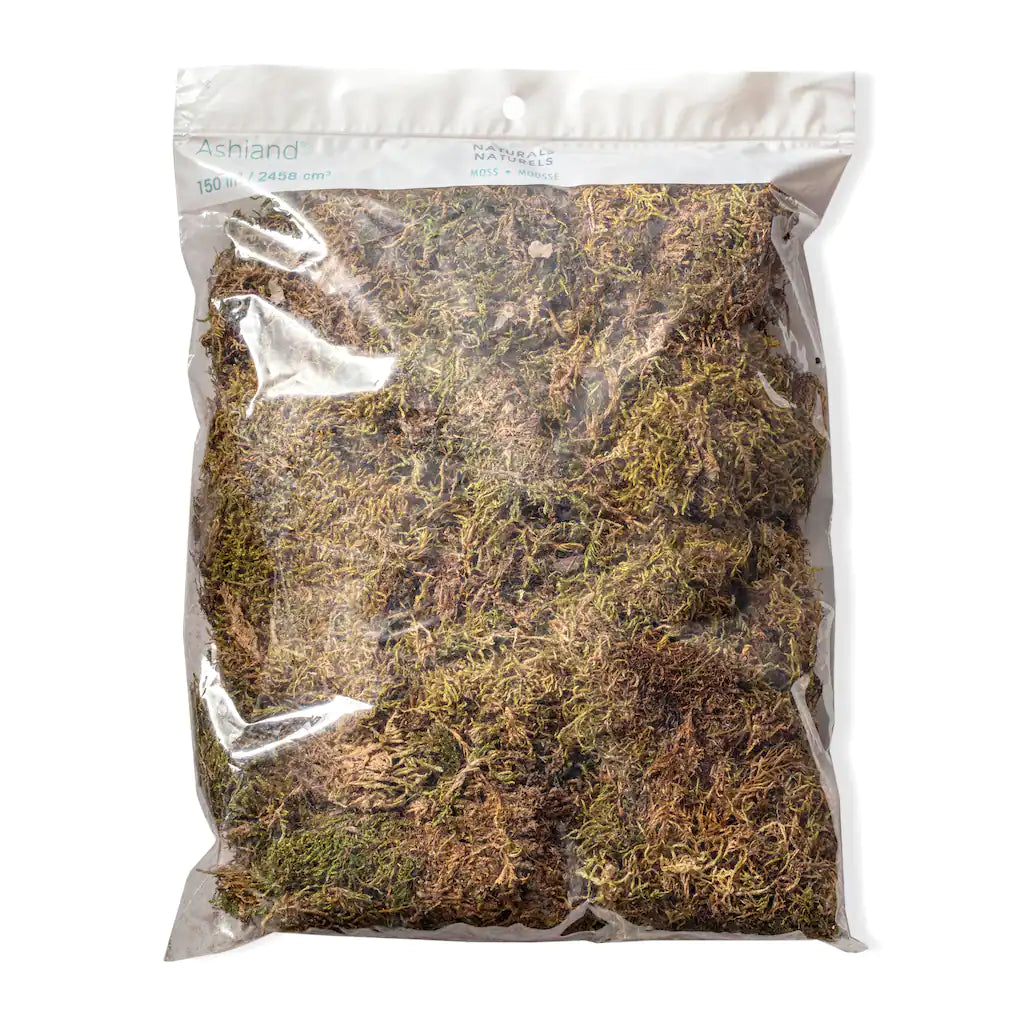 Small Bags of Moss