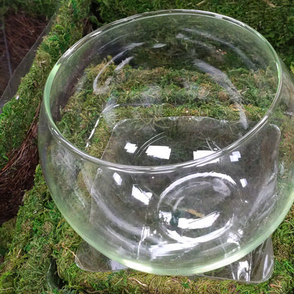 8" Glass Globe Planter