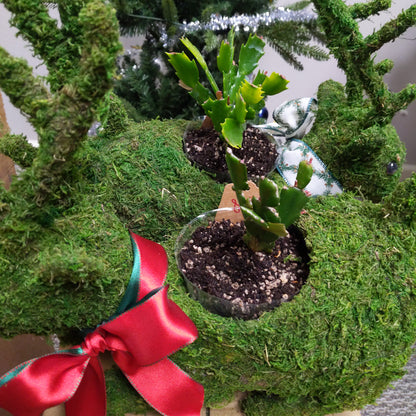 Deco Reindeer Moss Planter