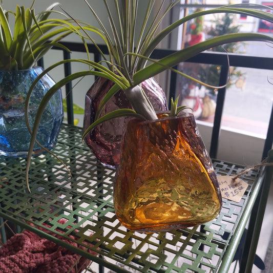 Gem Air Plant Holders