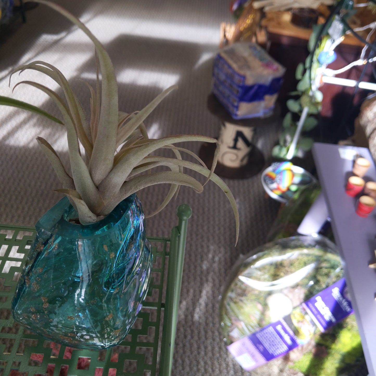 Gem Air Plant Holders