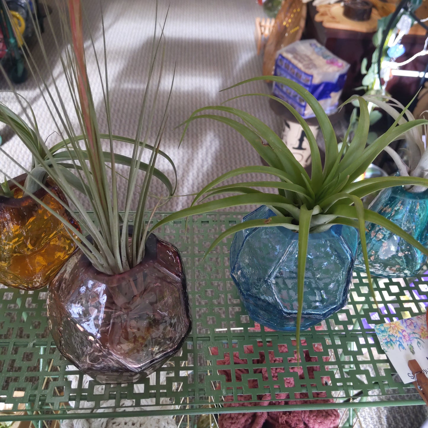 Gem Air Plant Holders
