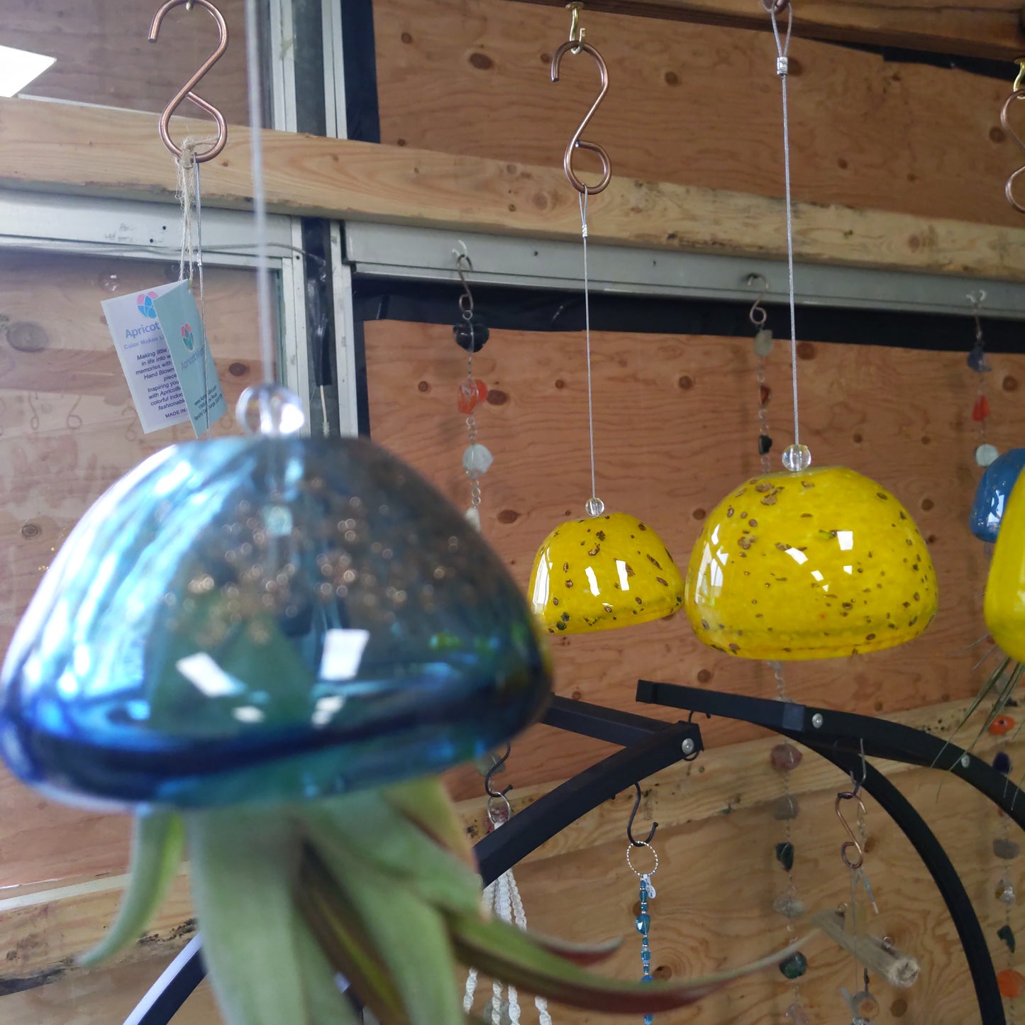 Blue/Gold Blown Glass Air Plant Holders