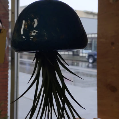 Teal/Gold Blown Glass Jellyfish Air Plant Holders