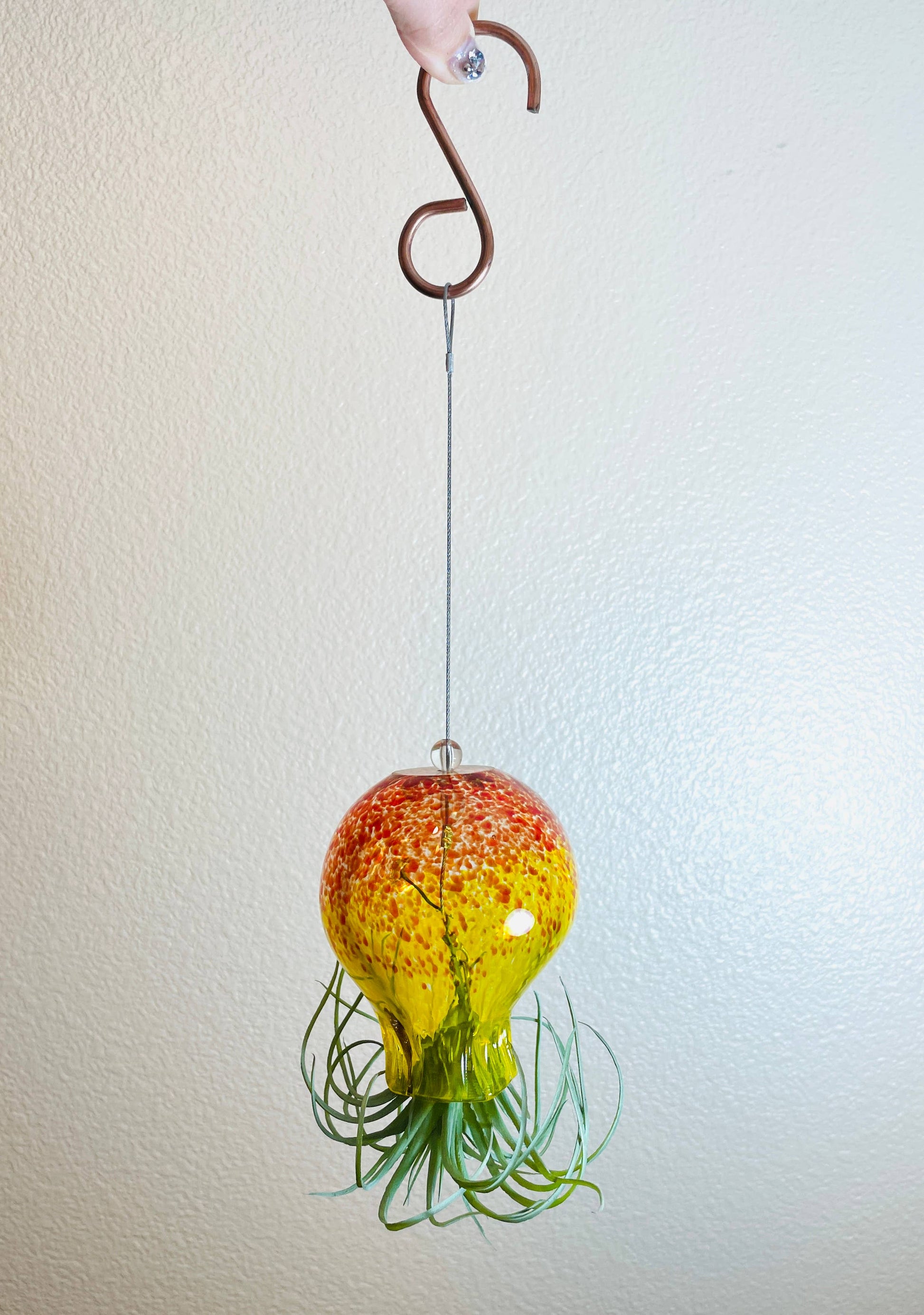 octopus plant air plant Octopus Hand Blown Air Plant Holder (no plants) – Golden State Succulents.com
