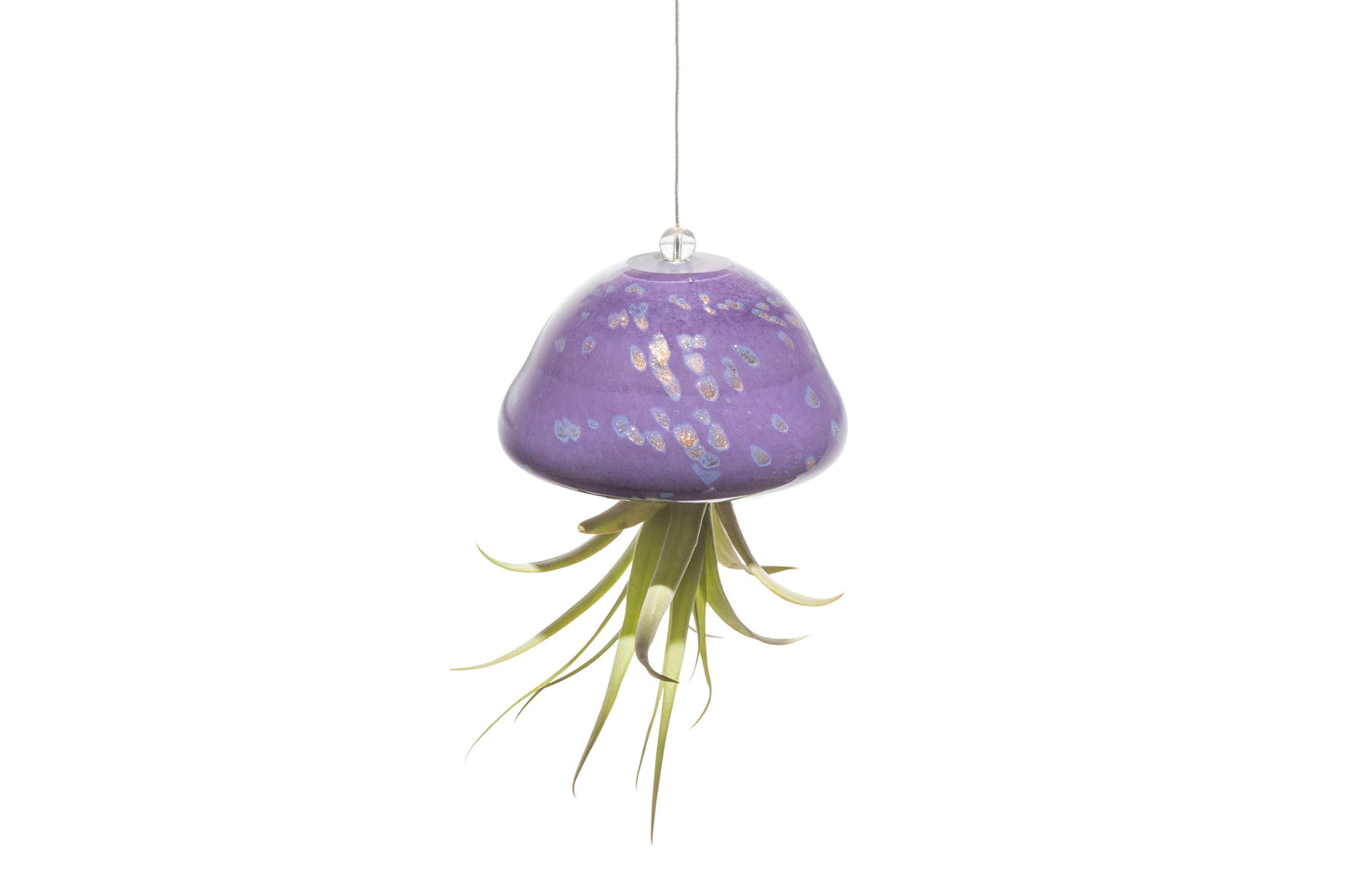 Purple/Gold Hand Blown Jellyfish Glass Air Plant Holder (no plants)