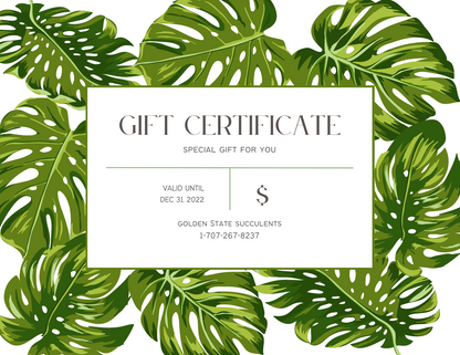 Golden State Succulents Gift Card