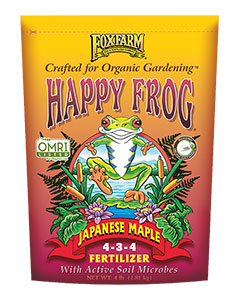 Happy Frog Japanese Maple (4-3-4) 4#