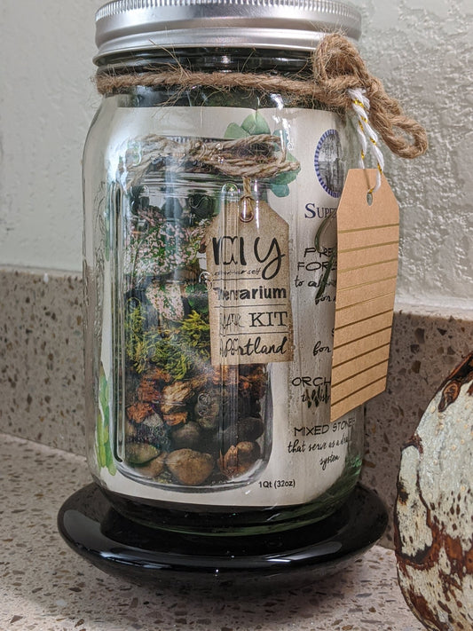 DIY Terrarium Kit