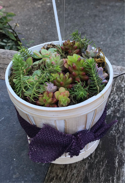Succulent Baskets & Fresh Flower Delivery to the Greater Eel River Valley Area