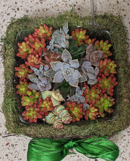 Succulent Baskets & Fresh Flower Delivery to the Greater Eel River Valley Area
